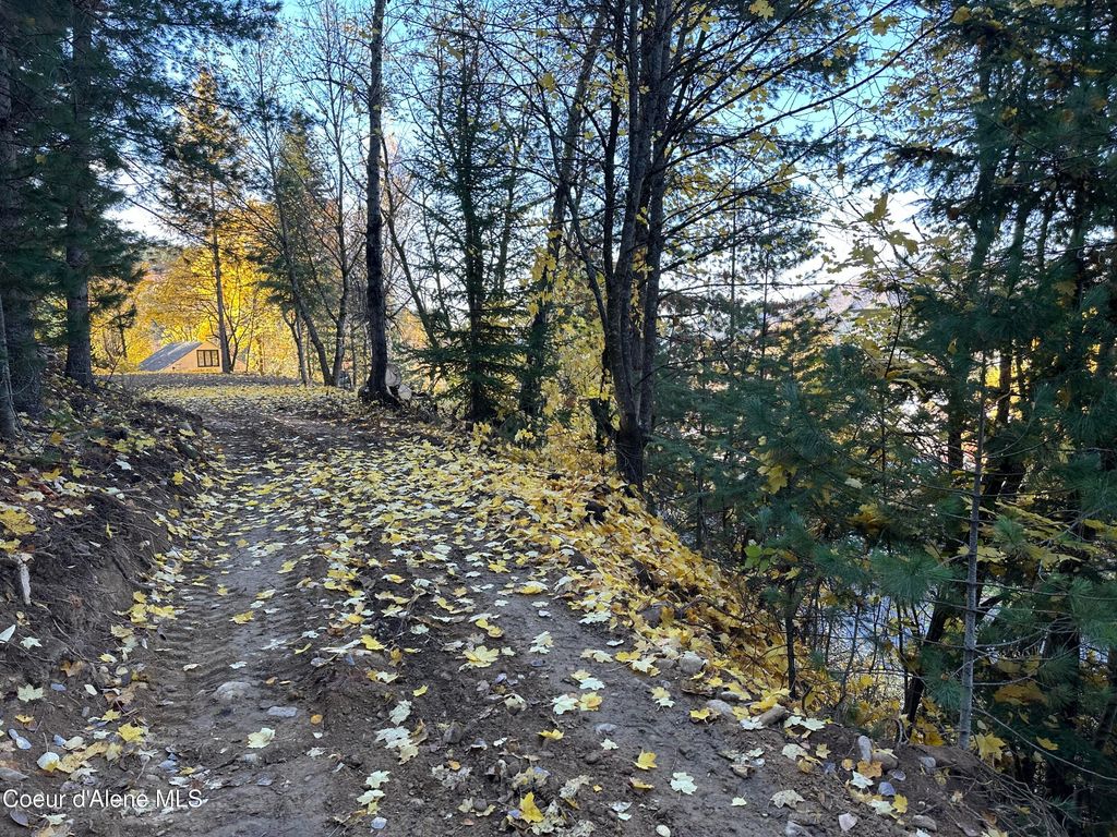 NKA Presley Ave, Kellogg, ID 83837 photo 13