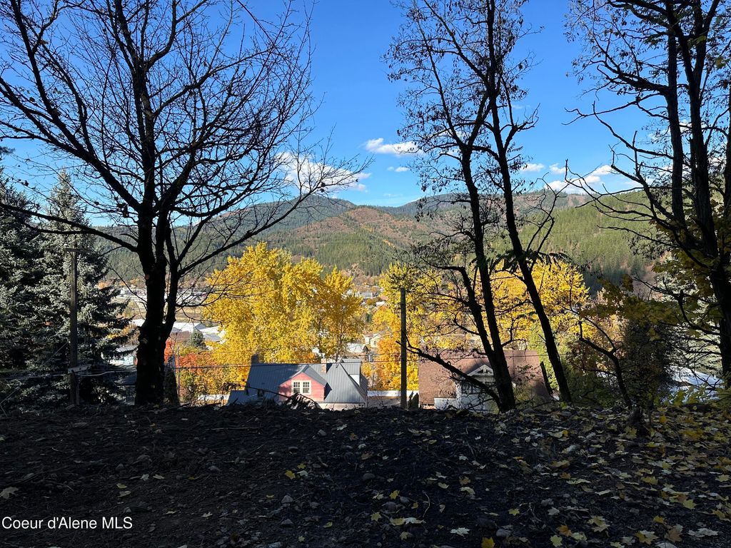 NKA Presley Ave, Kellogg, ID 83837 photo 17