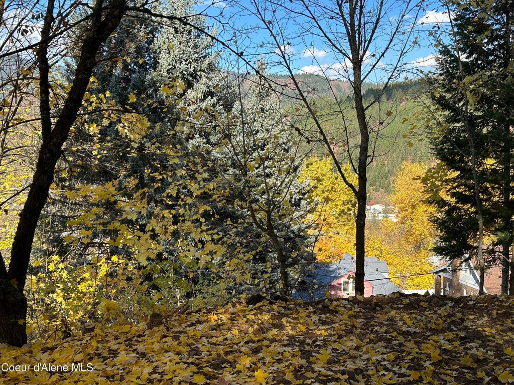 NKA Presley Ave, Kellogg, ID 83837 photo 19