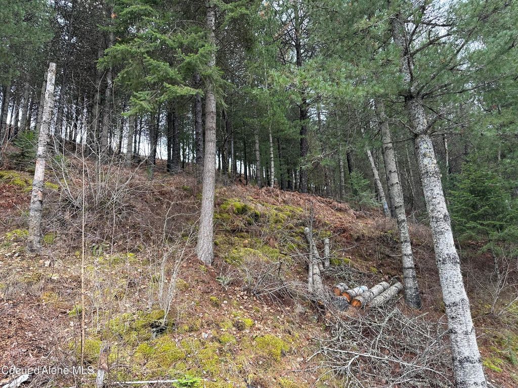 NKA Presley Ave, Kellogg, ID 83837 photo 8