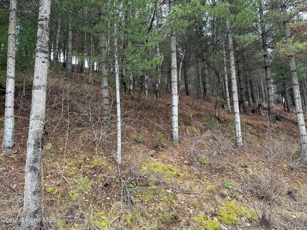 NKA Presley Ave, Kellogg, ID 83837 photo 9