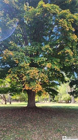 2323 Five Mile Road, Allegany, NY 14706