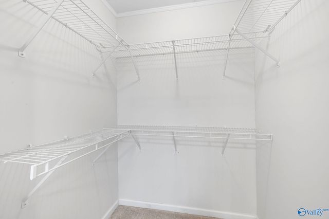 3608 Briarwood Lane, Guntersville, AL 35976