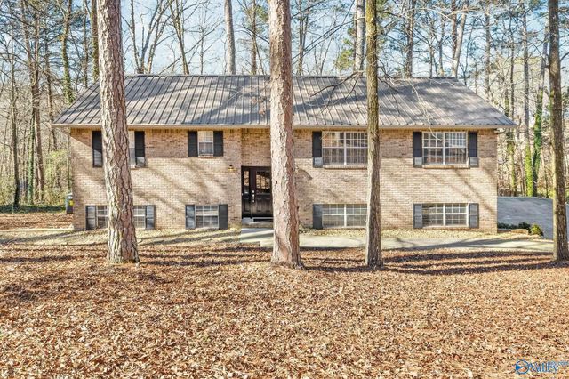 3608 Briarwood Lane, Guntersville, AL 35976