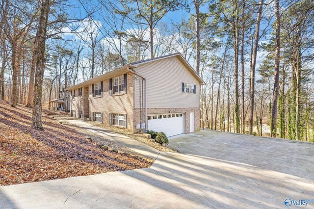 3608 Briarwood Lane, Guntersville, AL 35976