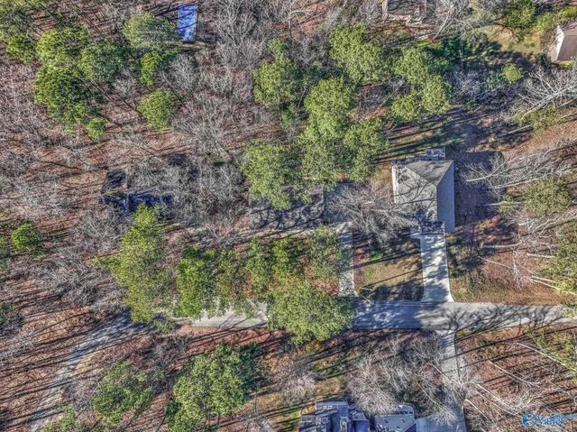 3608 Briarwood Lane, Guntersville, AL 35976