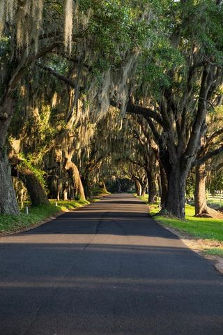 114 Post Office Ln., Pawleys Island, SC 29585