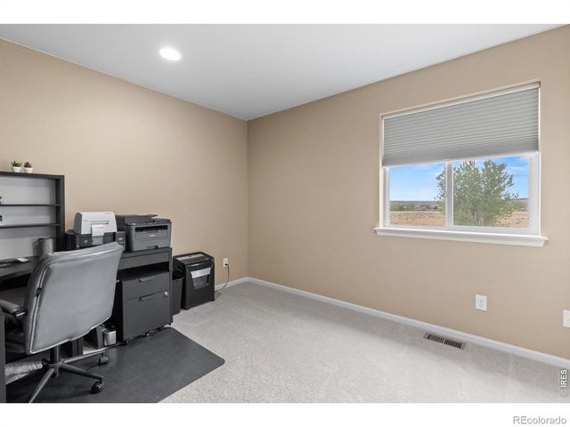 1647 Stoll Drive, Windsor, CO 80550