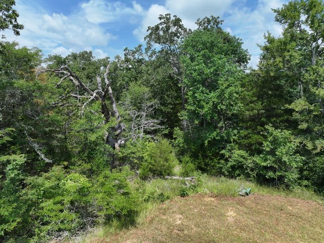 TBD CR 431 Road, Fairfield, TX 75840