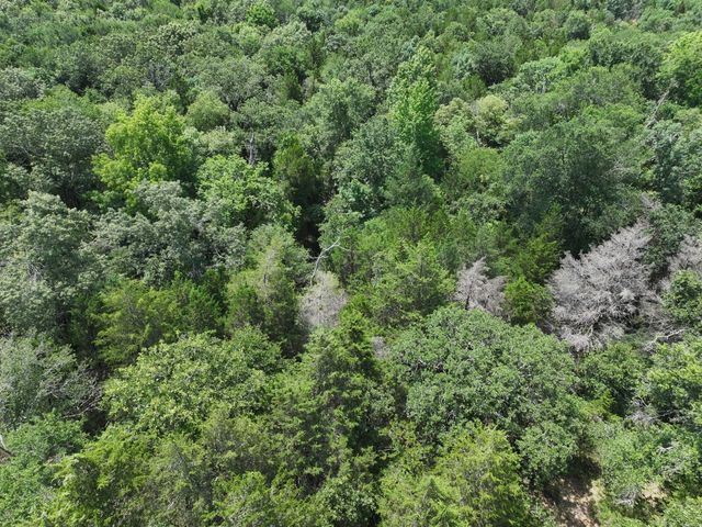 TBD CR 431 Road, Fairfield, TX 75840