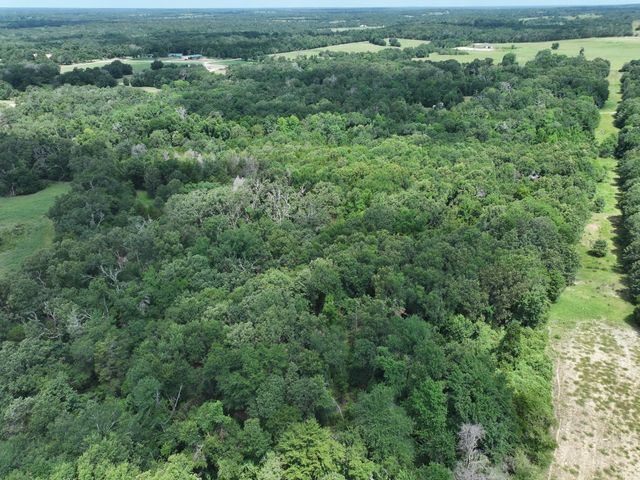 TBD CR 431 Road, Fairfield, TX 75840