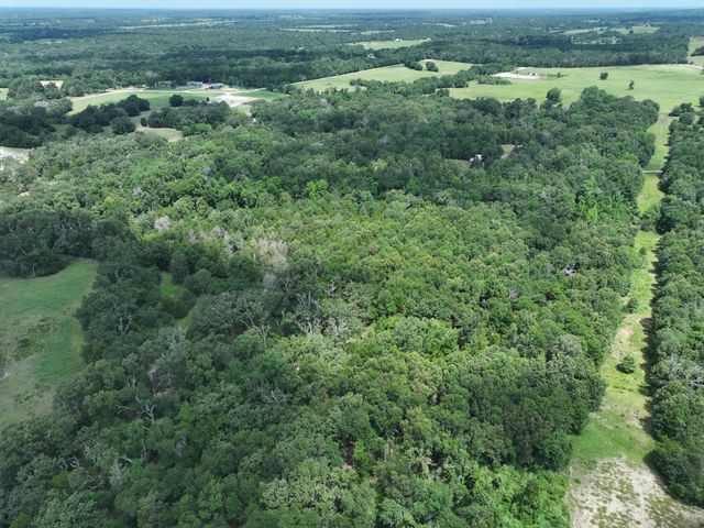 TBD CR 431 Road, Fairfield, TX 75840