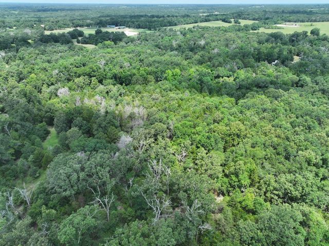 TBD CR 431 Road, Fairfield, TX 75840