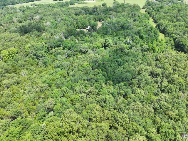 TBD CR 431 Road, Fairfield, TX 75840