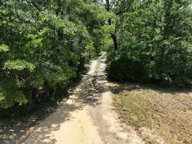 TBD CR 431 Road, Fairfield, TX 75840