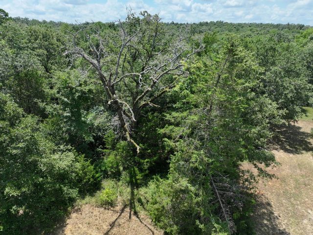 TBD CR 431 Road, Fairfield, TX 75840
