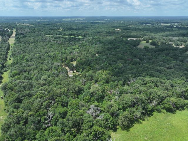 TBD CR 431 Road, Fairfield, TX 75840