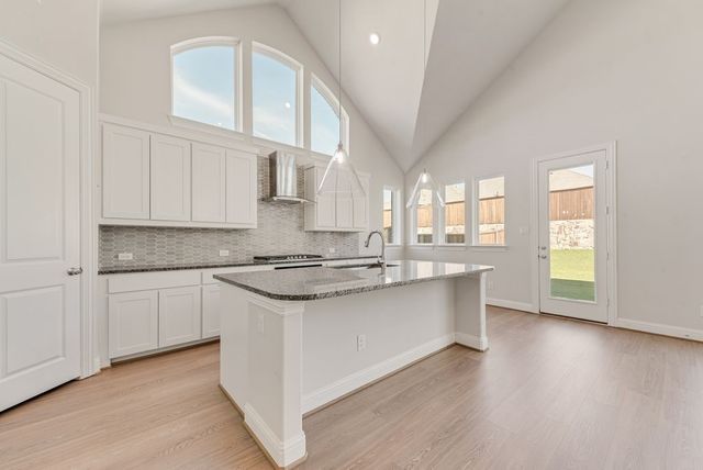 1628 Rimini Road, Fate, TX 75087