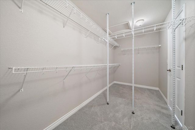 4850 Bluegate Lane, Highlands Ranch, CO 80130