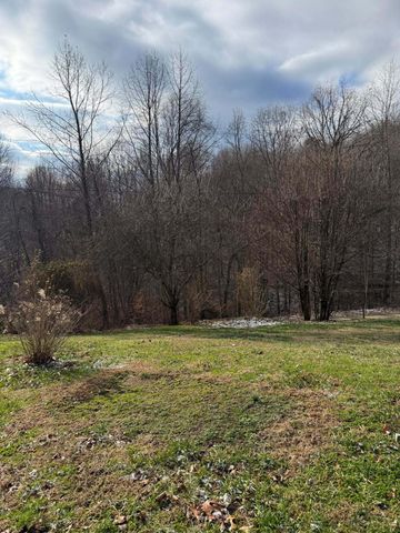 1240 Finger Board Road, Vanceburg, KY 41179