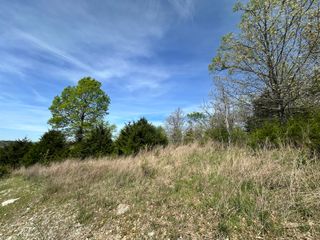 Lot 25 Hanging Branch Ridge Road, Cape Fair, MO 65624