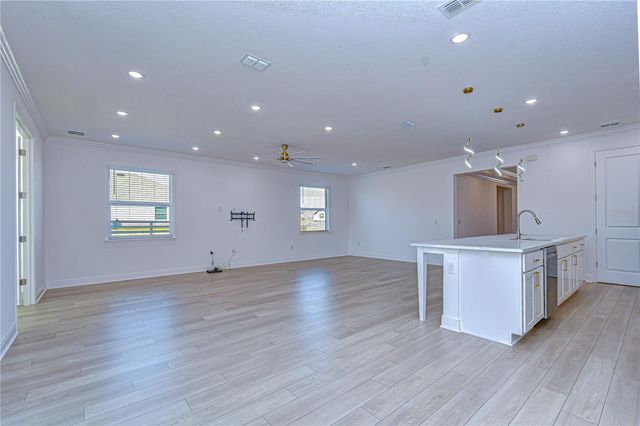 10027 DOLPHIN GULL CIRCLE, Thonotosassa, FL 33592