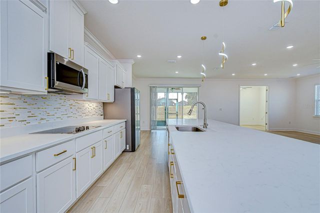 10027 DOLPHIN GULL CIRCLE, Thonotosassa, FL 33592