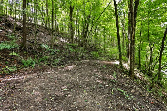 225 Coys Cove Ln, Gainesboro, TN 38562