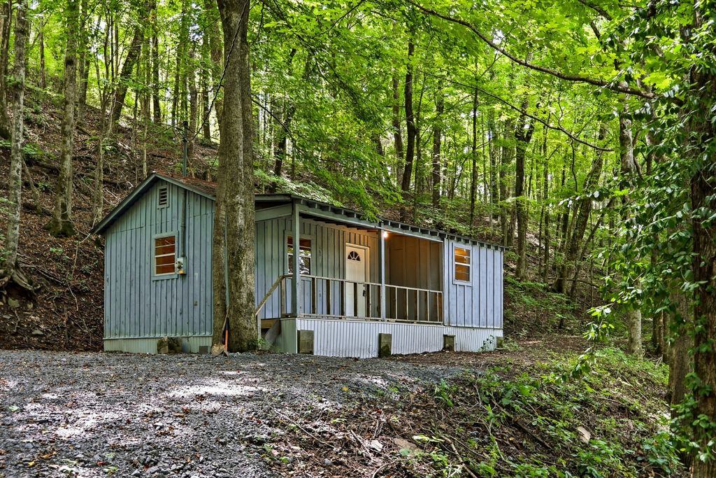 225 Coys Cove Ln, Gainesboro, TN 38562