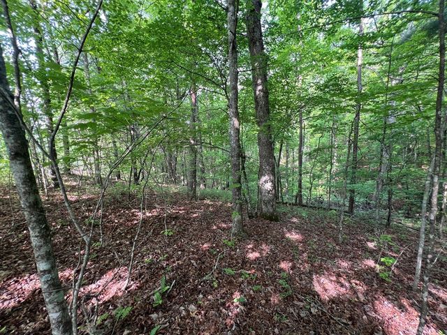 9 + Acre Leonard Lane, Murphy, NC 28906