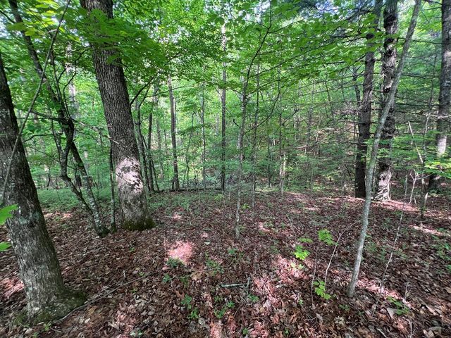 9 + Acre Leonard Lane, Murphy, NC 28906