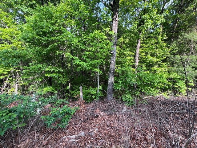 9 + Acre Leonard Lane, Murphy, NC 28906