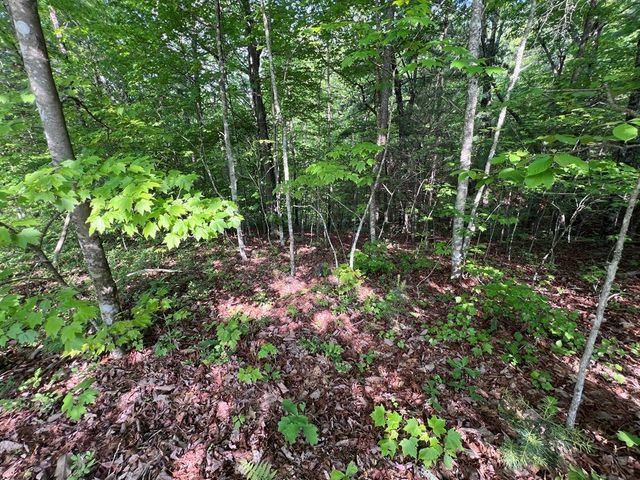 9 + Acre Leonard Lane, Murphy, NC 28906