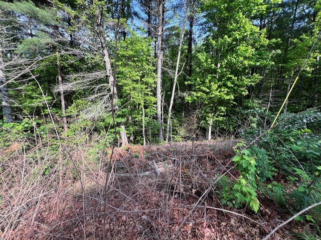 9 + Acre Leonard Lane, Murphy, NC 28906
