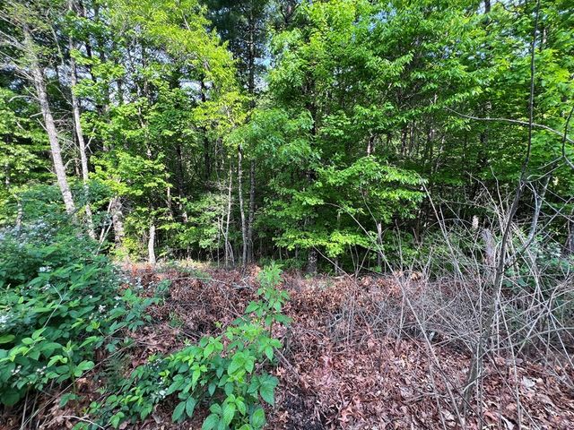 9 + Acre Leonard Lane, Murphy, NC 28906