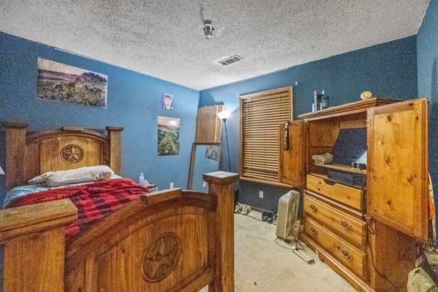 71 N Shady Oaks Drive Drive, Point Blank, TX 77364