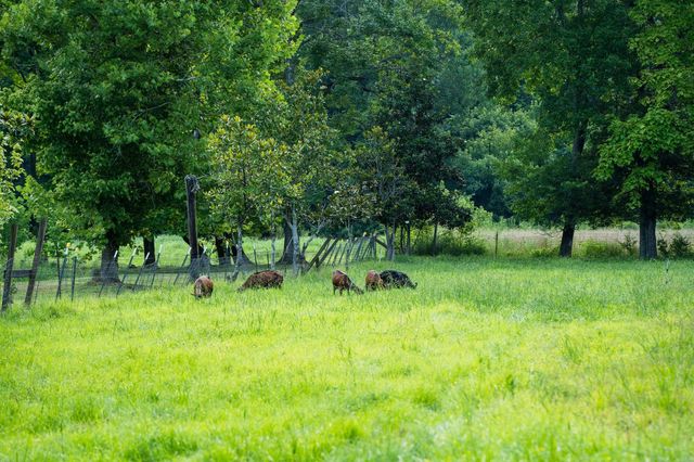 9032 S Harpeth Ct, Nashville, TN 37221