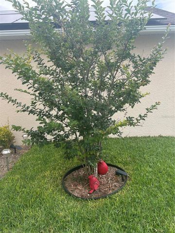 4202 CRACKER COURT, St Cloud, FL 34772