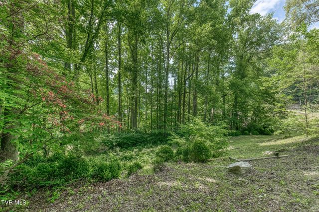 164 Paul Blevins Road, Roan Mountain, TN 37687