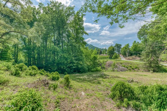 164 Paul Blevins Road, Roan Mountain, TN 37687