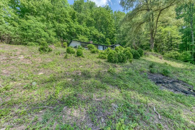 164 Paul Blevins Road, Roan Mountain, TN 37687