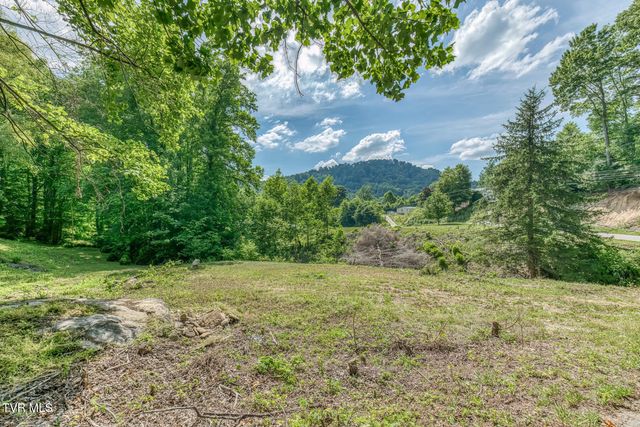 164 Paul Blevins Road, Roan Mountain, TN 37687