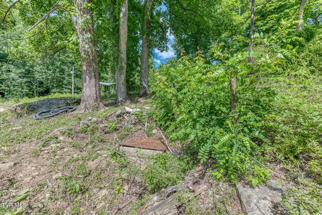 164 Paul Blevins Road, Roan Mountain, TN 37687