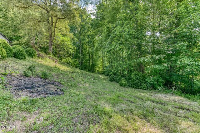 164 Paul Blevins Road, Roan Mountain, TN 37687