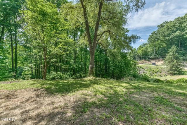 164 Paul Blevins Road, Roan Mountain, TN 37687