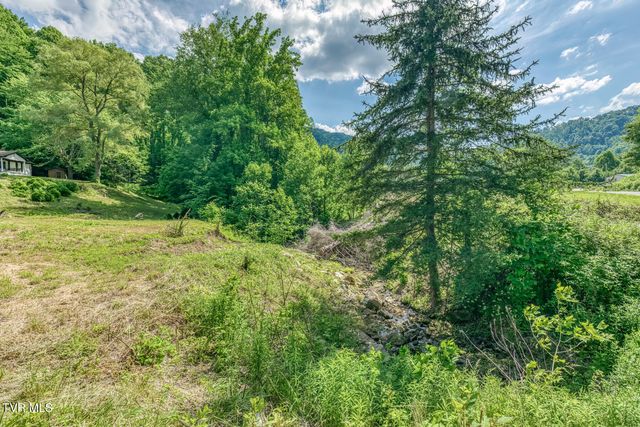 164 Paul Blevins Road, Roan Mountain, TN 37687