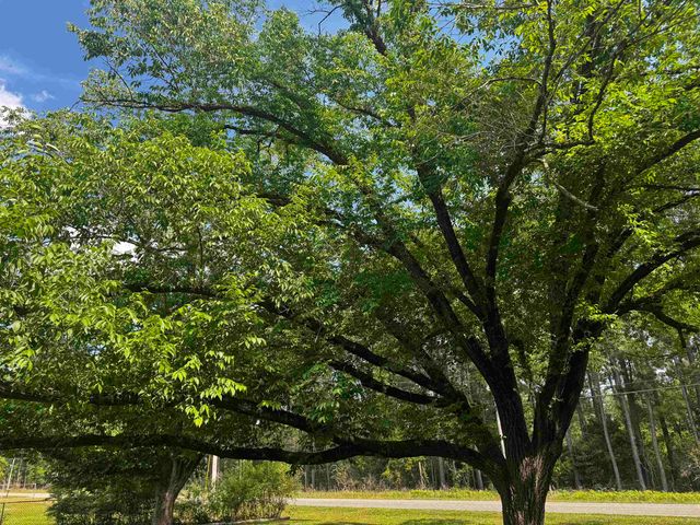 1594 Montford Rd., Georgetown, SC 29440