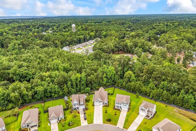 64 Black Pearl Court, Pawleys Island, SC 29585