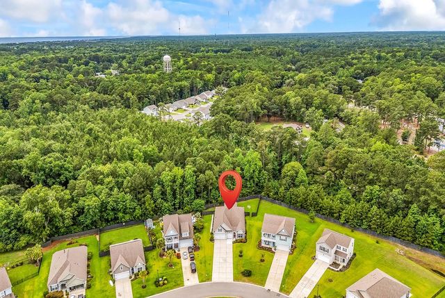 64 Black Pearl Court, Pawleys Island, SC 29585