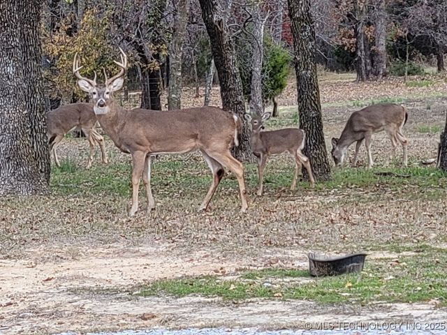30 Peach Street, Healdton, OK 73438